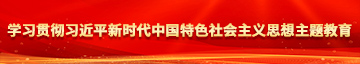 鸡巴操b学习贯彻习近平新时代中国特色社会主义思想主题教育